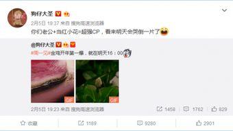 狗仔预告爆料视频,预告视频背后的惊人真相